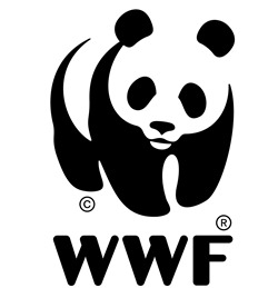 Giornata mondiale dell’ambiente,  il Wwf con cittadini e associazioni per la lotta alla plastica monouso