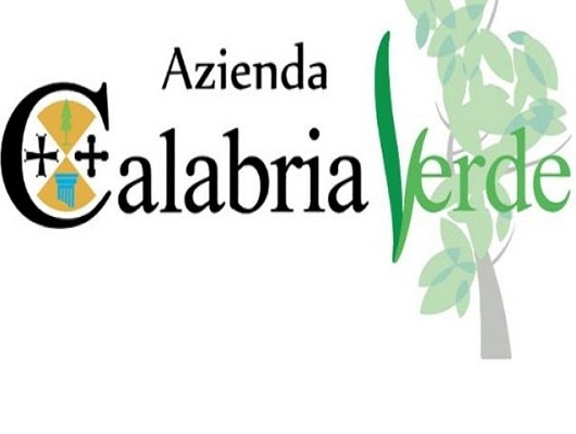 Calabria Verde, il punto sulle forze antincendio in campo dopo la visita del ministro Patuanelli