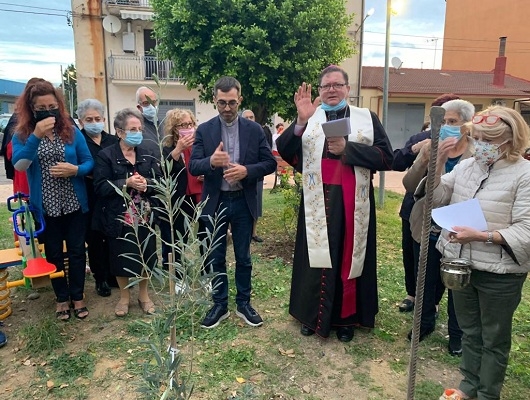 Il Vescovo ha benedetto e piantumato l''olivo della Madonna'