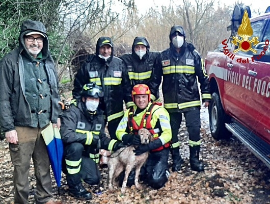 Cane bloccato in un torrente salvato dai Vigili del fuoco