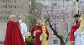 Domenica delle Palme, la Celebrazione del Papa e la preghiera dell’Angelus