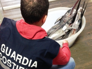 Guardia costiera in azione, sequestrati 30 chili di  pesce spada