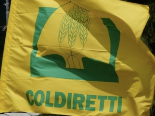 Pressing della Coldiretti alla Regione Calabria