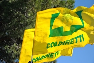 Olio, Coldiretti: dal 1° luglio diventa illegale mettere simboli dell'italianità sull'extravergine fatto con olive straniere