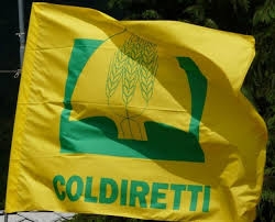 Coldiretti Calabria: Servizio Fitopatologico e Asp rigorosi controlli per rispettare limiti massimi 