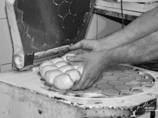 Lievito madre. Il fermento del pane: mostra fotografica al Museo Archeologico Nazionale di Crotone