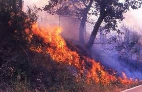 Incendi, il Sindaco: Ora conta dei danni. In fumo non solo alberi, ma anche storia