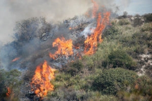 I periti agrari sono preoccupati per i numerosi incendi