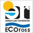 Ecoross: Fino ad oggi abbiamo tenuto pulita la città. I nostri sforzi non superano la crisi regionale