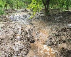 Coldiretti: danni all'agricoltura nei comuni calabresi colpiti da autentiche bombe d'acqua