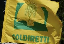 Maltempo, Coldiretti: Colpita duramente  la provincia di Reggio Calabria