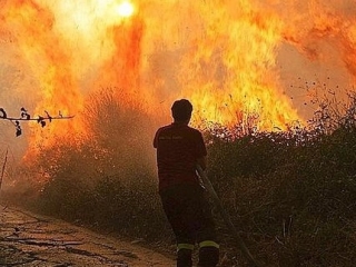 Lotta incendi boschivi: convenzione tra Vigili del fuoco e Calabria verde