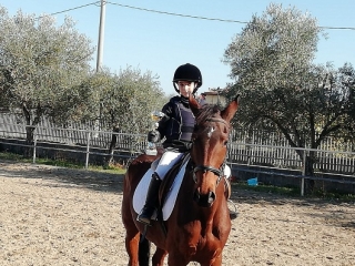Equitazione, Nicolò Milieni (9 anni) primo posto al concorso Mipaf