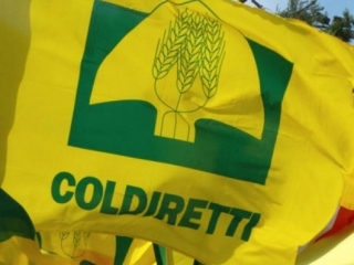 Recovery Plan, Coldiretti Calabria : 