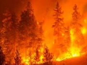 Incendi, Nesci: Ora Regione Calabria metta in campo Piano di prevenzione