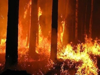 Da gennaio in Calabria quasi 6 mila incendi