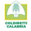 Coldiretti, domani la tavola rotonda“ La valorizzazione degli oli extravergini di oliva attraverso l’utilizzo di tecniche innovative di analisi”
