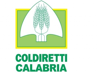 Anziani, Coldiretti Calabria: Quasi il 50% salva i bilanci familiari