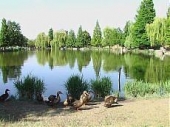 Parco Amendola, demoliti 13 cilindri attorno al laghetto. Le sedute in cemento si erano inclinate negli anni a causa di una graduale erosione