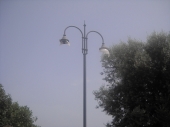 Atto vandalico in viale delle Mimose: rotti lampioni pubblica illuminazione