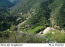 Ritorna la “Passeggiata Ecologica lungo il Parco del Coriglianeto” organizzata dalla Pro loco