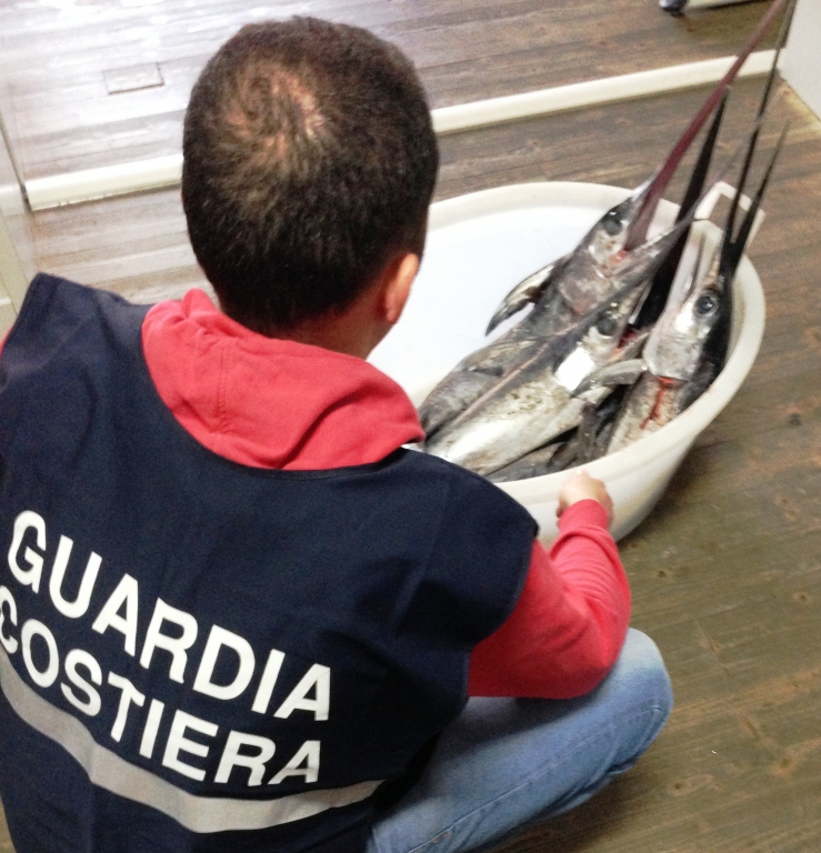 Guardia costiera in azione, sequestrati 30 chili di  pesce spada