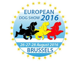 European dog show 2016, trionfano i maremmani cariatesi