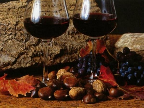 Stappato il vino novello, 20mila bottiglie prodotte in Calabria:dal Pollino allo Stretto