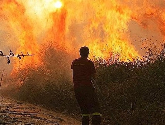 Lotta incendi boschivi: convenzione tra Vigili del fuoco e Calabria verde