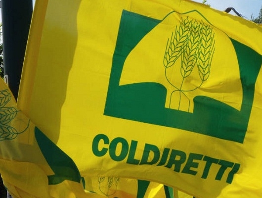 Coldiretti Calabria: Con aumento materie prime e gran caldo un conto salato per l’agricoltura
