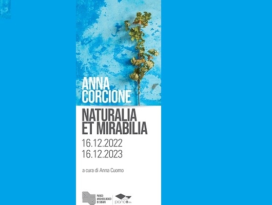 Il 16 dicembre al via la mostra di Anna Corcione