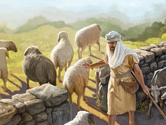 26 - Parabola delle pecore e dei capri