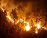 Prevenzione incendi, primi interventi. Regione finanzia progetto comunale per riqualificazione boschi