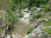 Grande successo per la “Passeggiata Ecologica lungo il Parco del Coriglianeto” organizzata dalla Pro loco
