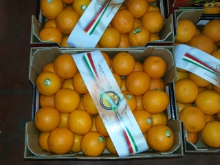 Le arance calabresi con il 10 in condotta dal porto di Gioia Tauro per  Dubai