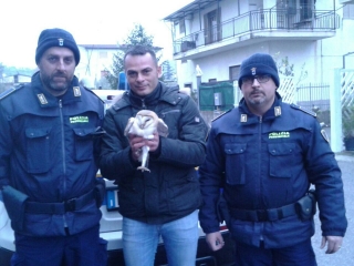 Il militare crosimirtese Andrea Santoro ha salvato un rapace protetto