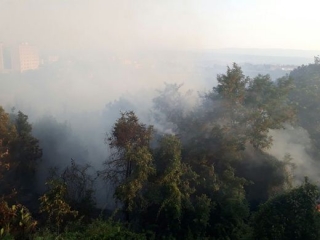 Incendio minaccia Parco della Biodiversità Mediterranea