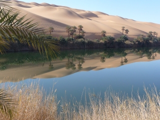 In ogni deserto, da qualche parte, c'è acqua.