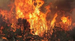 Approvato in Giunta comunale l'aggiornamento del Catasto comunale delle aree percorse dal fuoco
