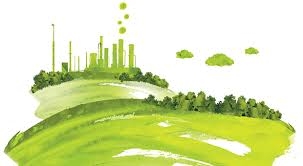 Green economy, 268 mila euro a Cirò