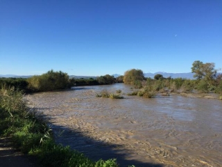 Esondazione Crati, Coldiretti: Gravissima la situazione in località “Ministalla”