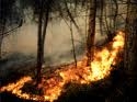In vigore l’ordinanza per prevenire gli incendi boschivi