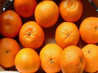 Coldiretti Calabria: a tavola le prime clementine sostenibili  anche da cooperative e Op calabresi