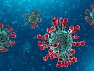Coronavirus, il bollettino della Regione Calabria: 207 positivi