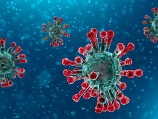 Calano i contagi di Coronavirus in Calabria