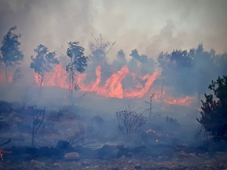Cufari: “Occorre lavorare in sinergia per la riduzione del rischio idrogeologico correlato agli incendi