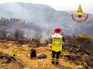 Incendi lungo il litorale tirrenico, intervenuti Vigili del fuoco e Calabria verde