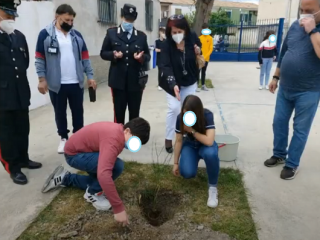 “Un albero per il futuro”, anche l'Ic Crosia ha aderito all'iniziativa del Reparto Carabinieri Biodiversità di Cosenza