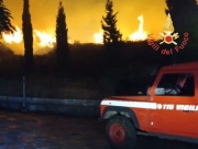 Numerosi incendi boschivi in Calabria. Lavoro ininterrotto dei Vigili del fuoco