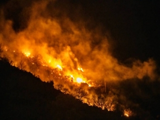 Incendi Calabria, visita ministro Patuanelli, 5 Stelle: Urgente riorganizzare Calabria Verde